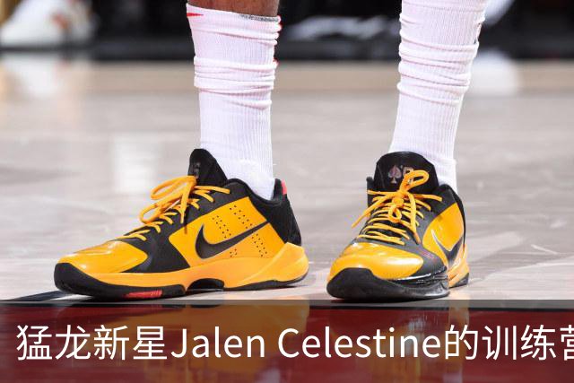 猛龙新星Jalen Celestine的训练营冒险记