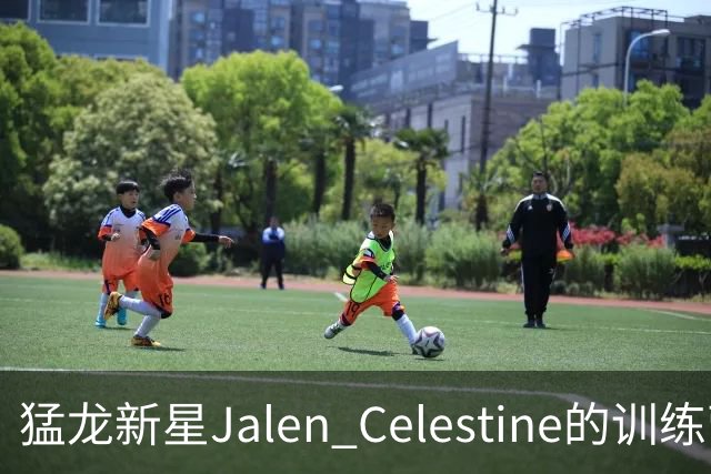 猛龙新星Jalen Celestine的训练营冒险记